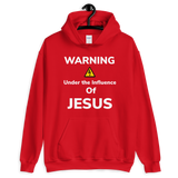 Under the Influence of Jesus Hoodie - AGAPE KINGDOM INC